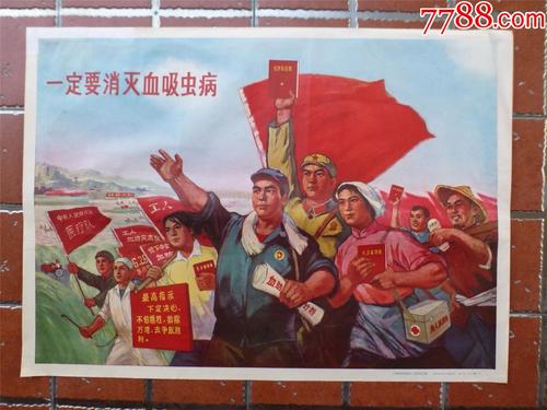 国内怎么考国际驾照在中国能用吗